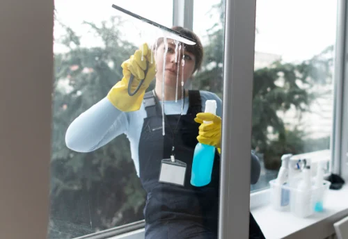 Nettoyage de vitres intérieures et extérieures à Chambeire